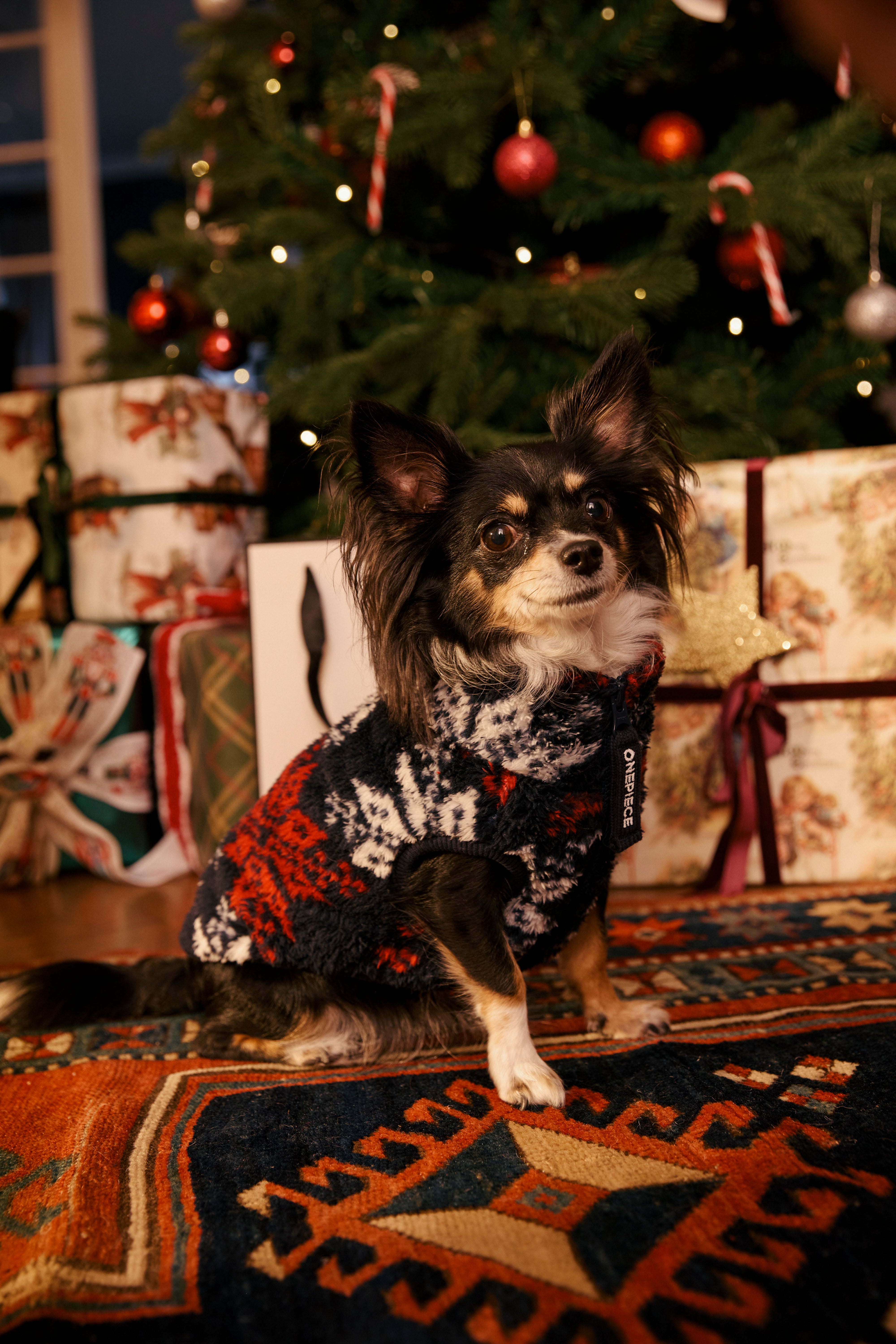 onepiece-puppy-pet-suit-hundeoverall-fleece-snowstar image 5
