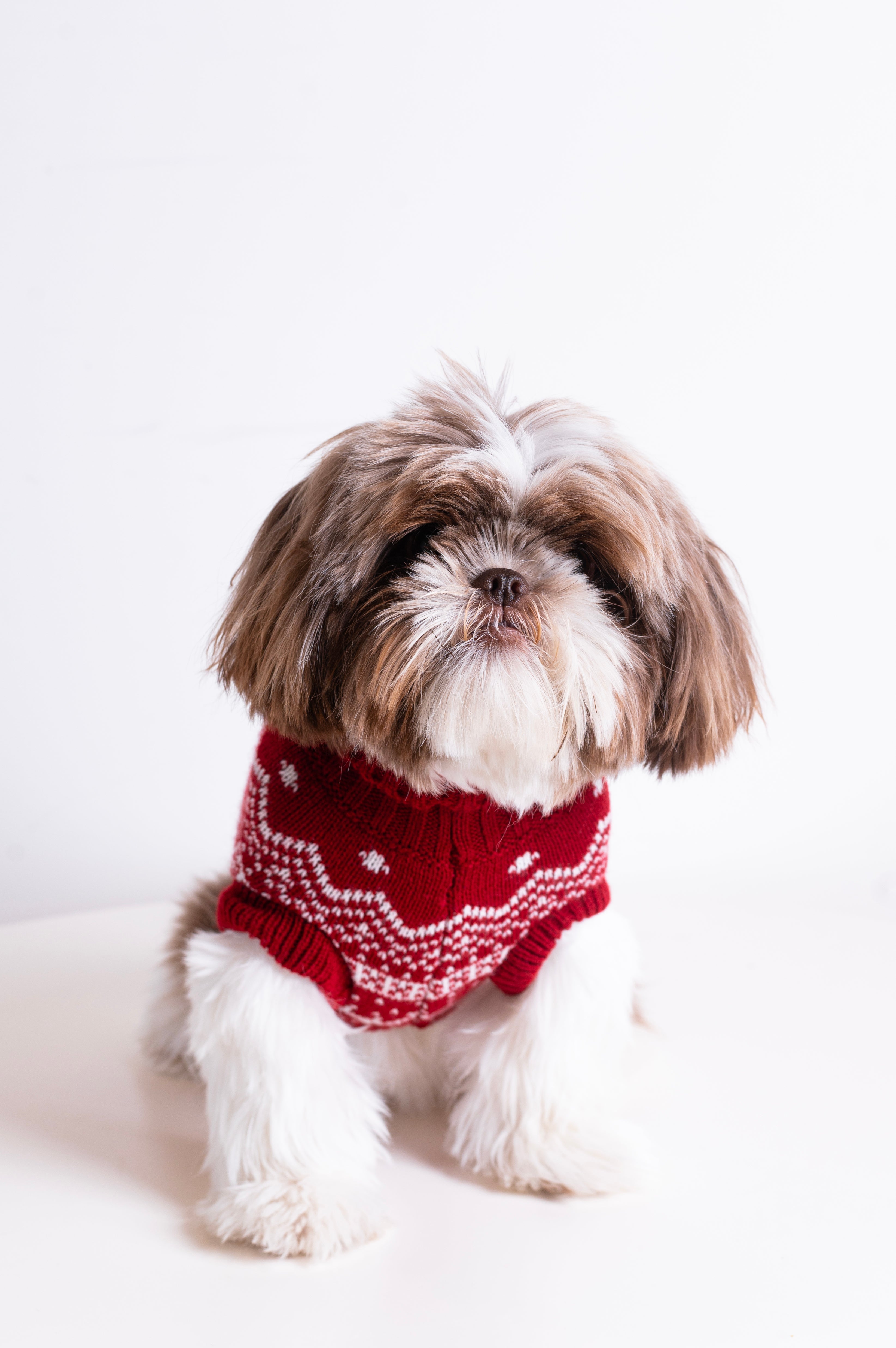 onepiece-the-dog-holiday-onesie-rot-hund image 4