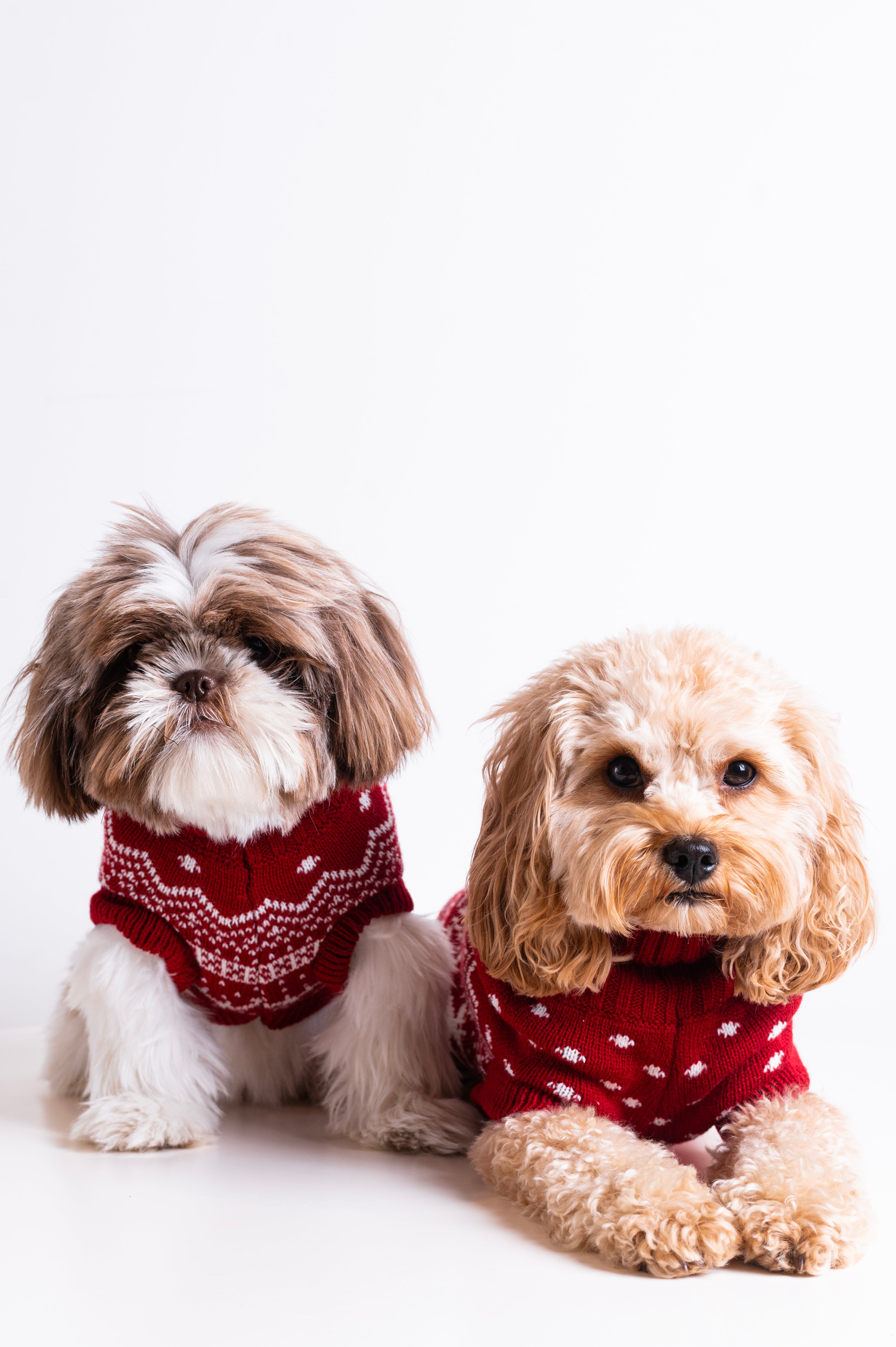 onepiece-the-dog-holiday-onesie-rot-hund image 8