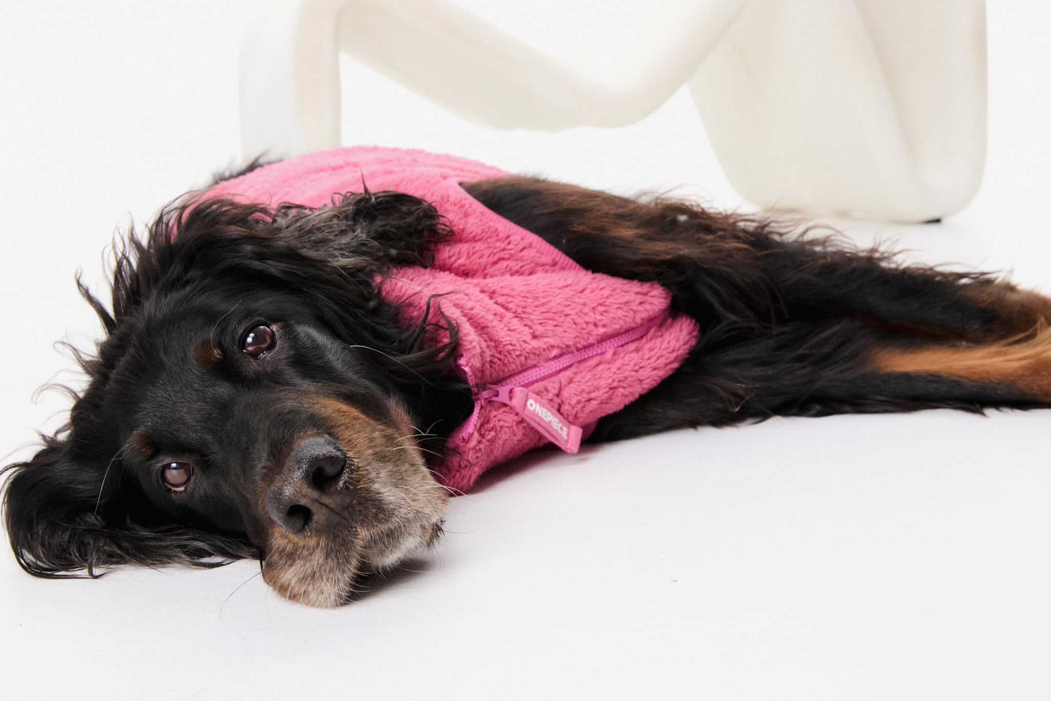 onepiece-puppy-pet-suit-berry-pink-warmer-hunde-overall image 6