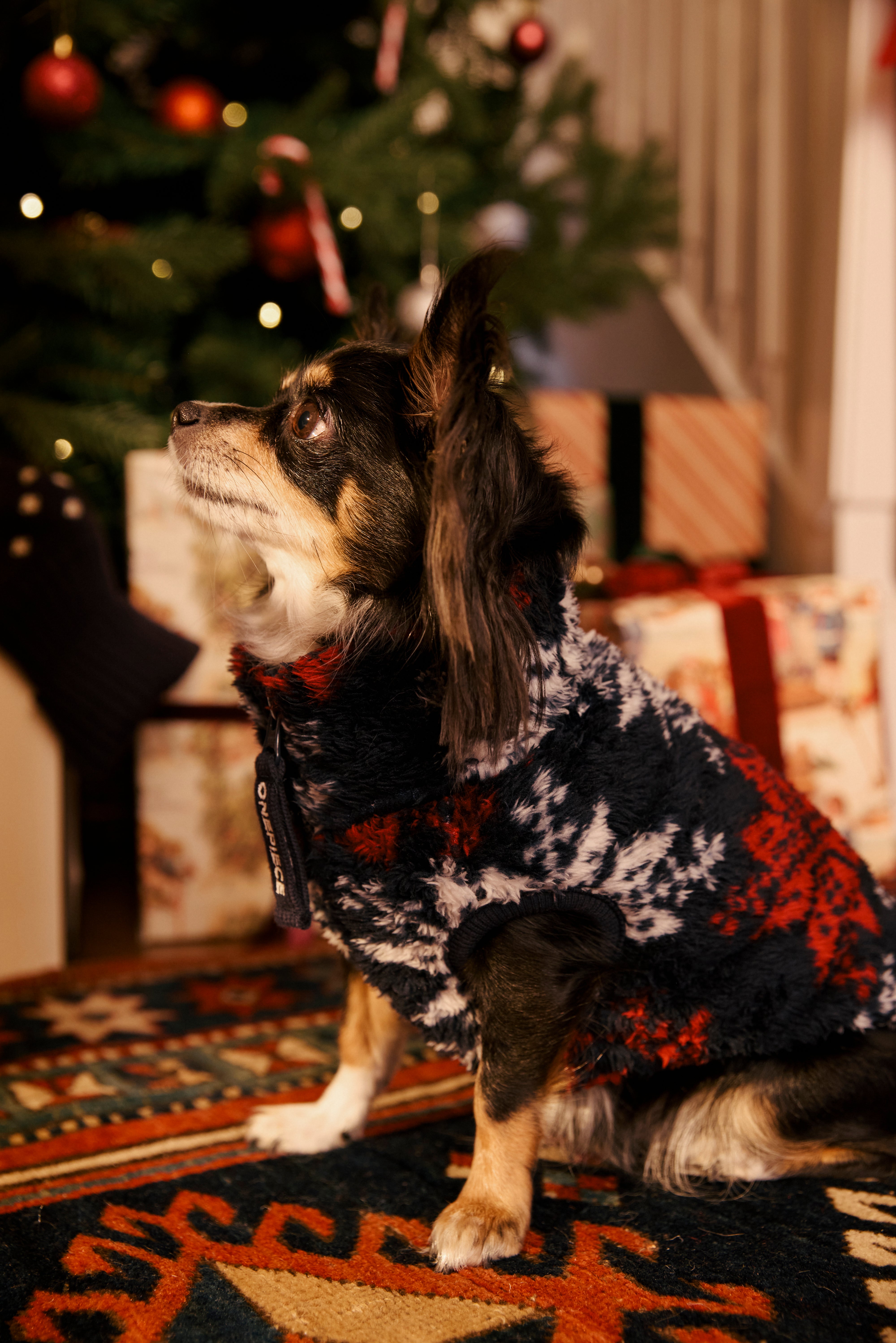 onepiece-puppy-pet-suit-hundeoverall-fleece-snowstar image 6