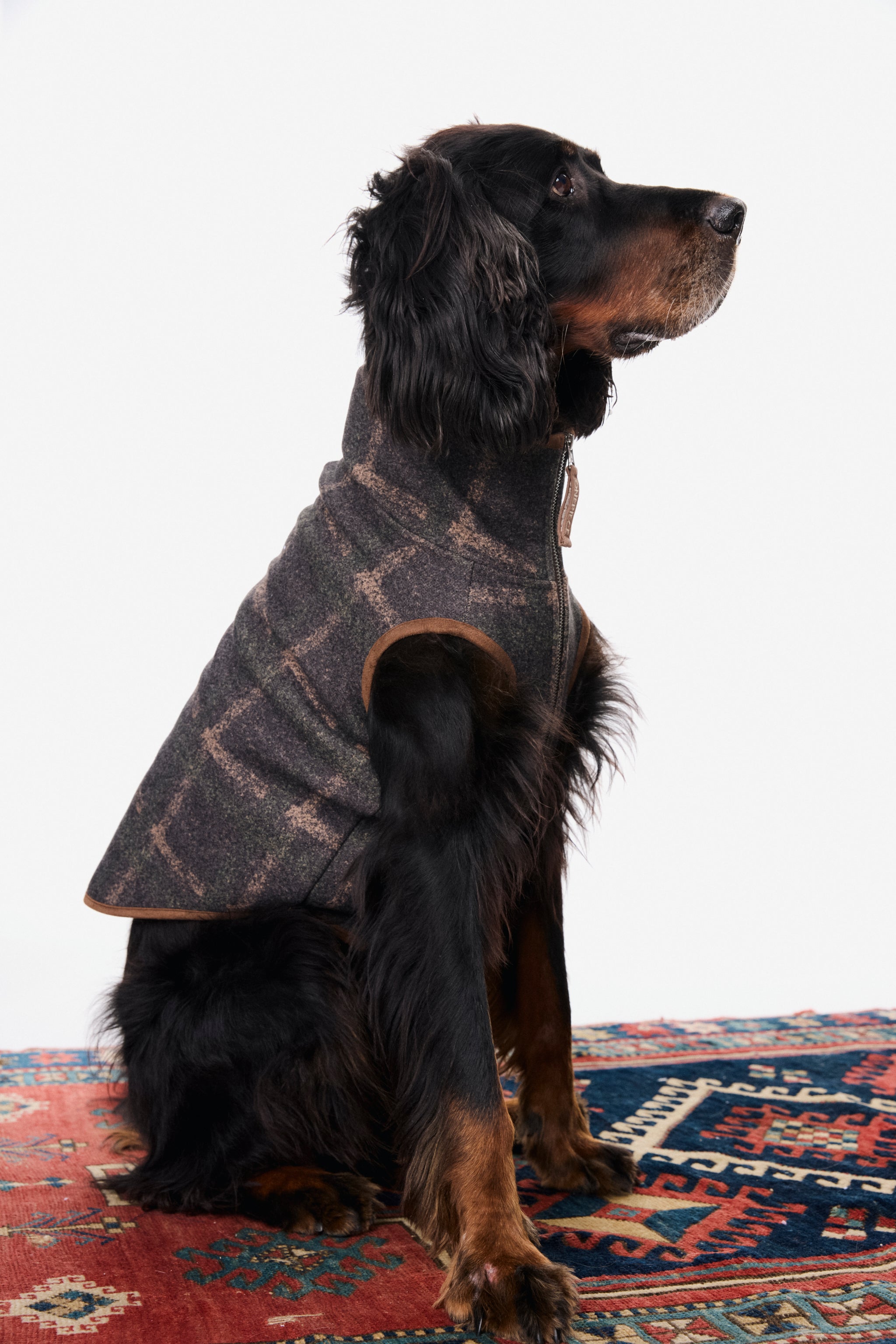 onepiece-good-chill-hunting-pet-suit-haustier-gr-n image 5