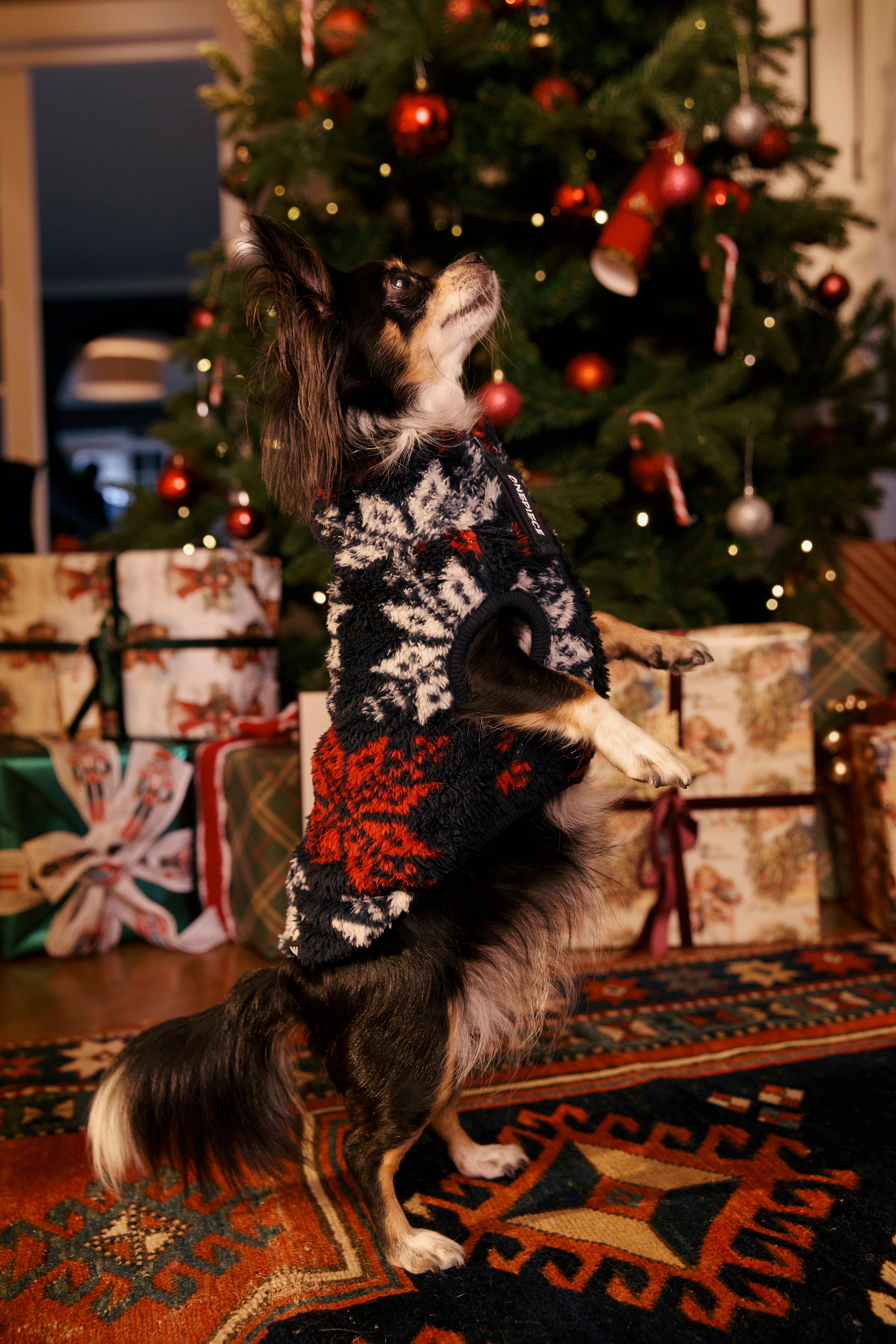 onepiece-puppy-pet-suit-hundeoverall-fleece-snowstar image 7