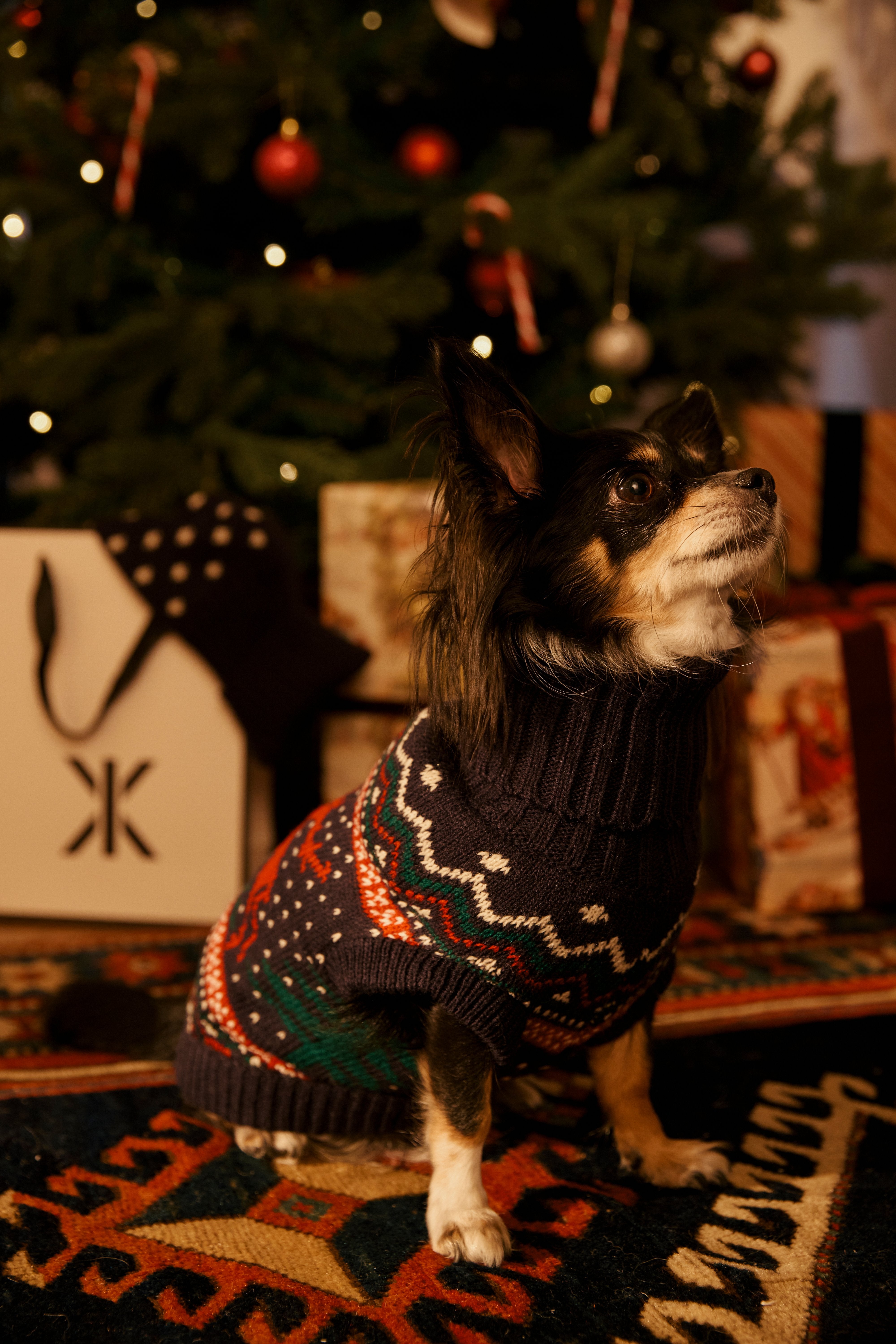 onepiece-holidays-are-coming-pet-suit-hunde-overall-multi-strick image 5