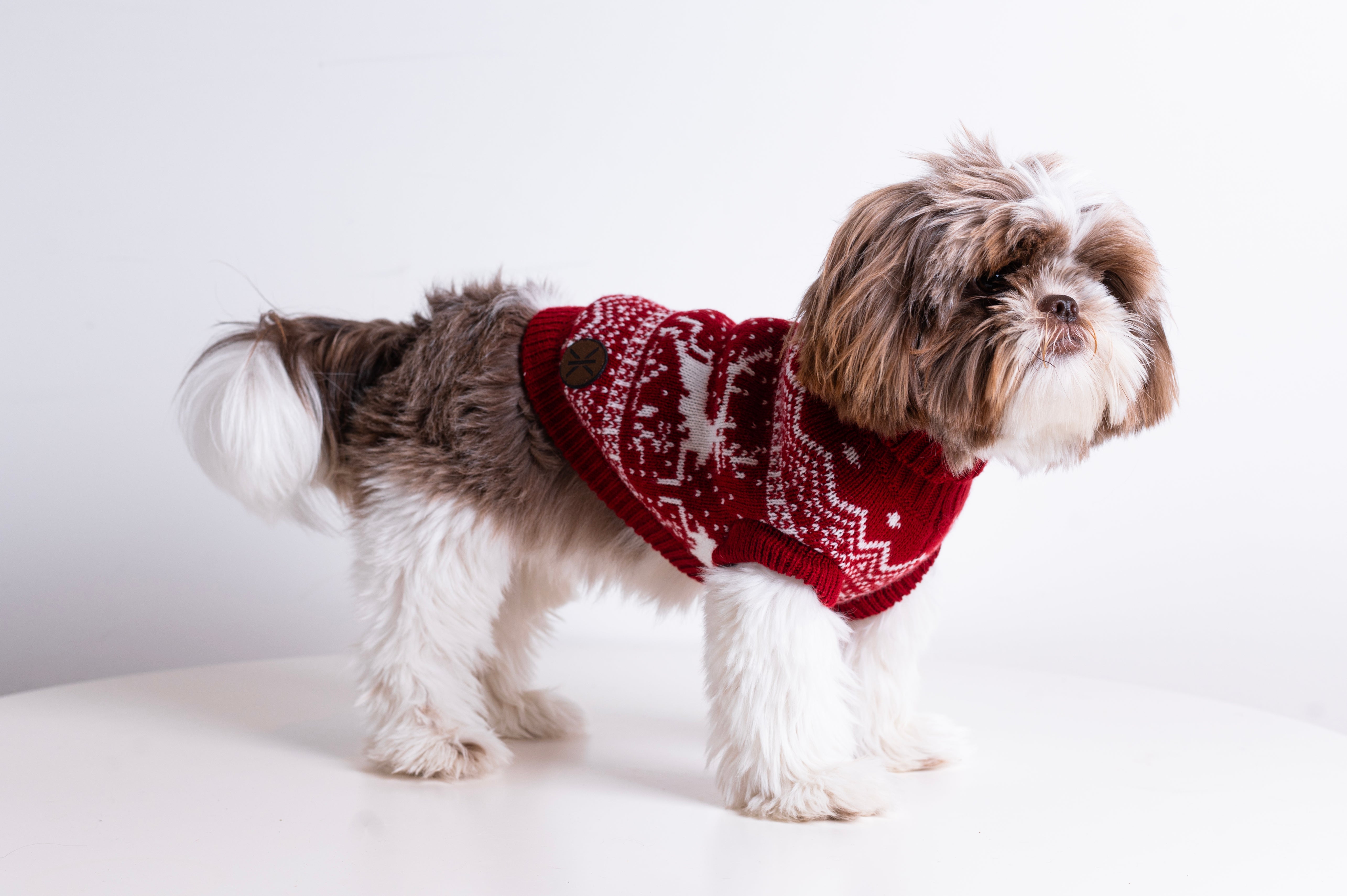 onepiece-the-dog-holiday-onesie-rot-hund image 2