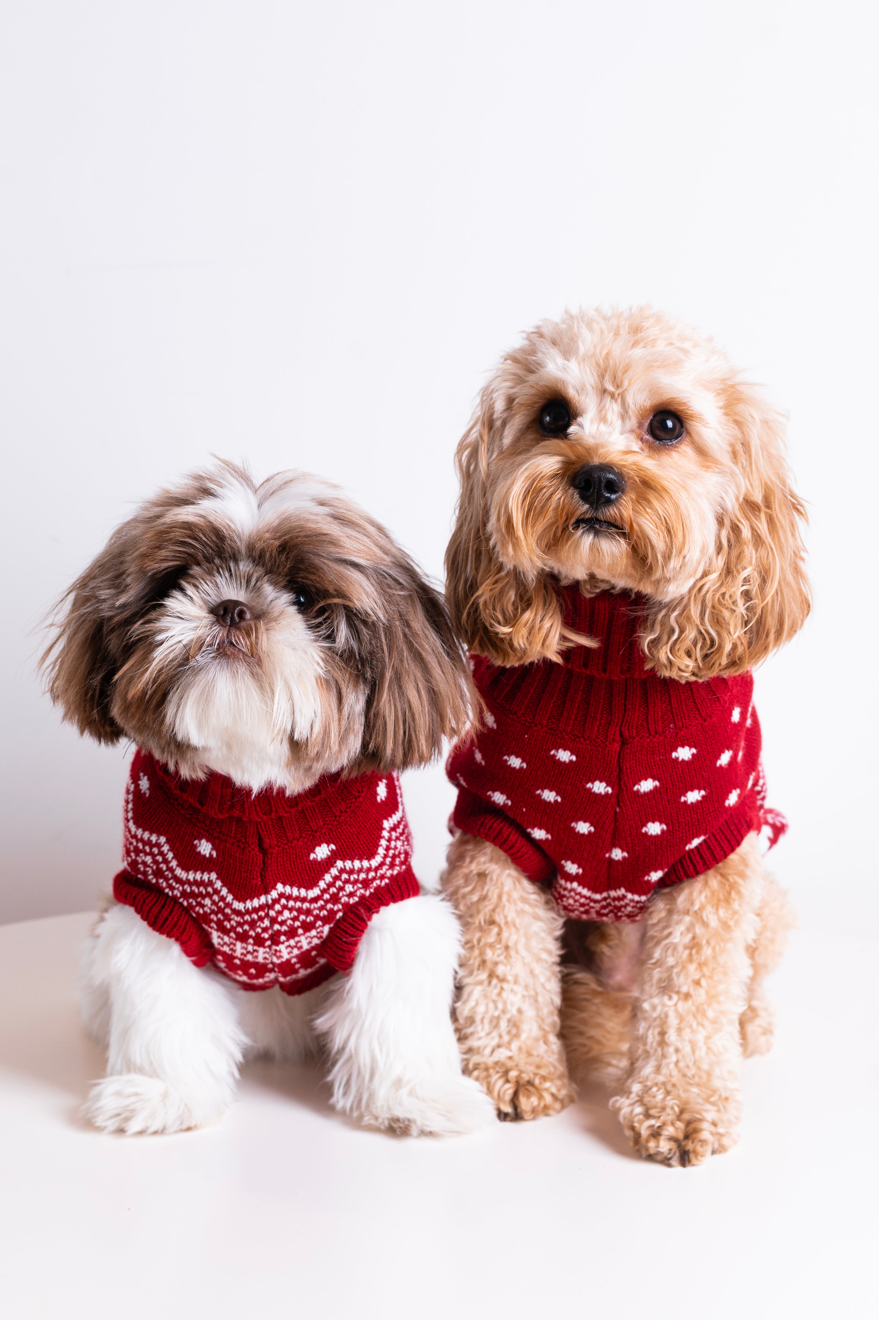 onepiece-the-dog-holiday-onesie-rot-hund image 6
