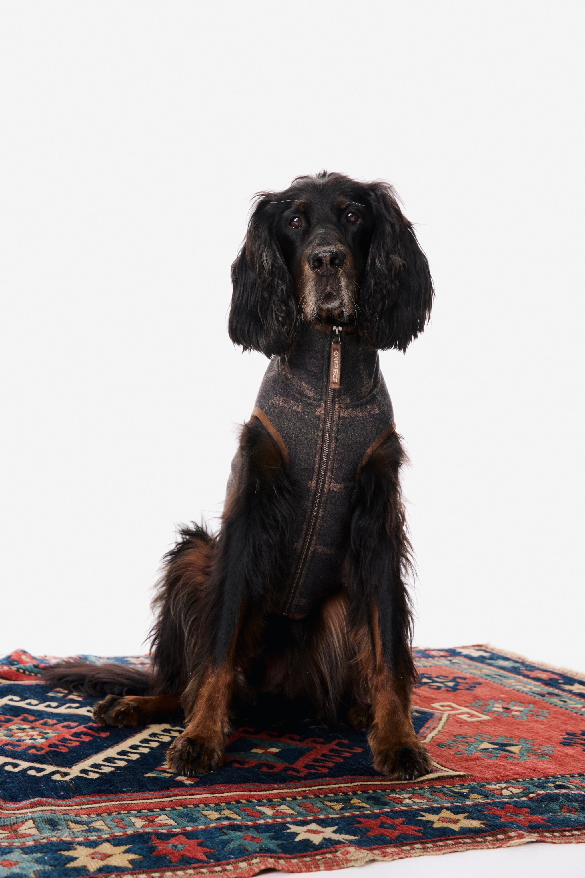 onepiece-good-chill-hunting-pet-suit-haustier-gr-n image 6