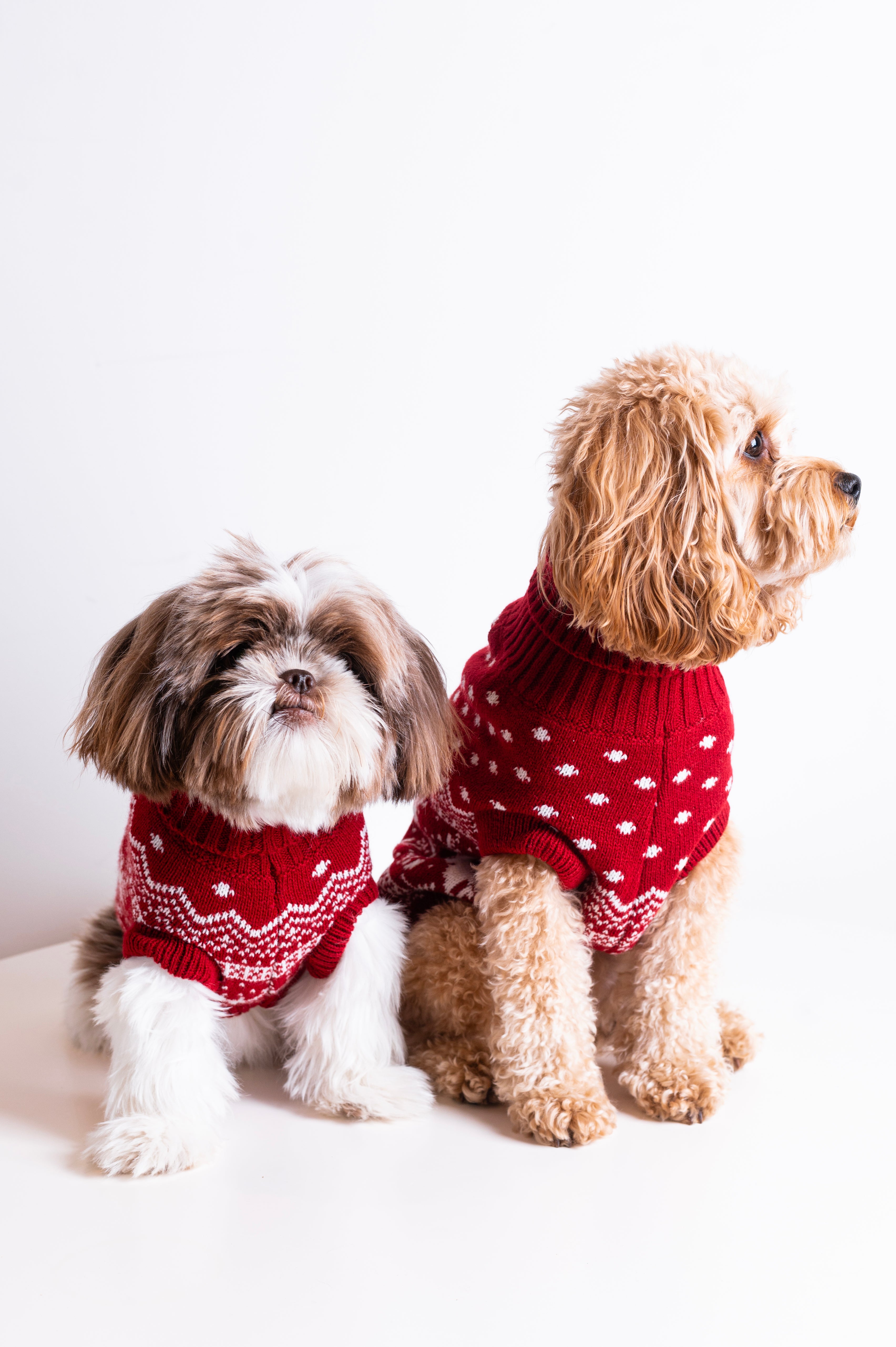 onepiece-the-dog-holiday-onesie-rot-hund image 5
